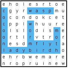 Minibeasts word search
